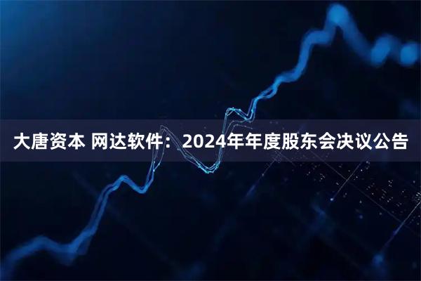 大唐资本 网达软件：2024年年度股东会决议公告