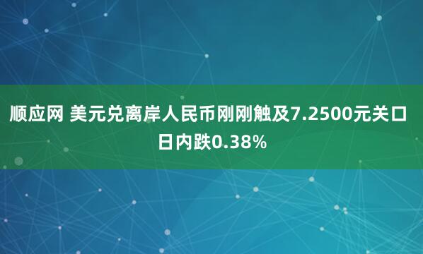 顺应网 美元兑离岸人民币刚刚触及7.2500元关口 日内跌0.38%