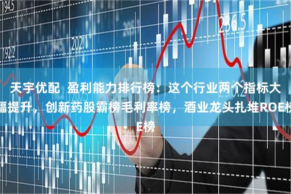 天宇优配  盈利能力排行榜：这个行业两个指标大幅提升，创新药股霸榜毛利率榜，酒业龙头扎堆ROE榜