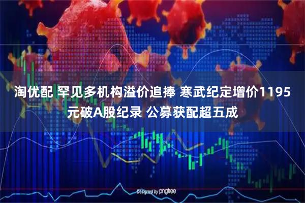 淘优配 罕见多机构溢价追捧 寒武纪定增价1195元破A股纪录 公募获配超五成